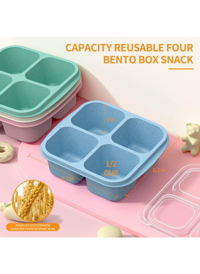 هومستر علبة وجبات خفيفة 4 قطع علبة قابلة لإعادة الاستخدام حاوية تحتوي على 4 وجبات مقصورة مع صينية تخزين فاكهة جافة ذات زيت شفاف صحن مقاوم للتسريب طبق خفيف للمنزل والسفر قابلة لإعادة الاستخدام حاوية تحضير وجبات مقصورة 4 مناسبة للأطفال والبالغين (أخضر/أزرق/وردي/بيجي) 16.5*15.5*5.5 سم - Image 3