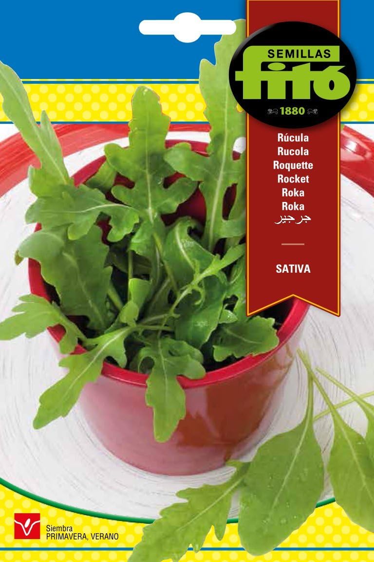Fito Arugula Rocket Sativa Seeds for Planting, Premium Leafy Green Vegetable Seeds for Indoor & Outdoor Gardening, Fast Growing Salad Leaves, Fresh Organic Rocket Leaves for Kitchen Garden - Image 1