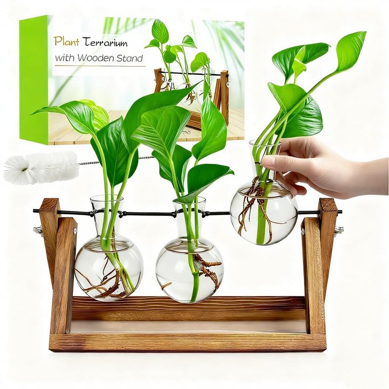 Renmxj Plant Propagation Stations with Wooden Stand & 3 Glass Bulb Vases - Plant Terrarium for Indoor Plants, Home Office Desk Decor, Gardening Gifts for Women Mom, Birthday Gifts for Plants Lovers - Image 1
