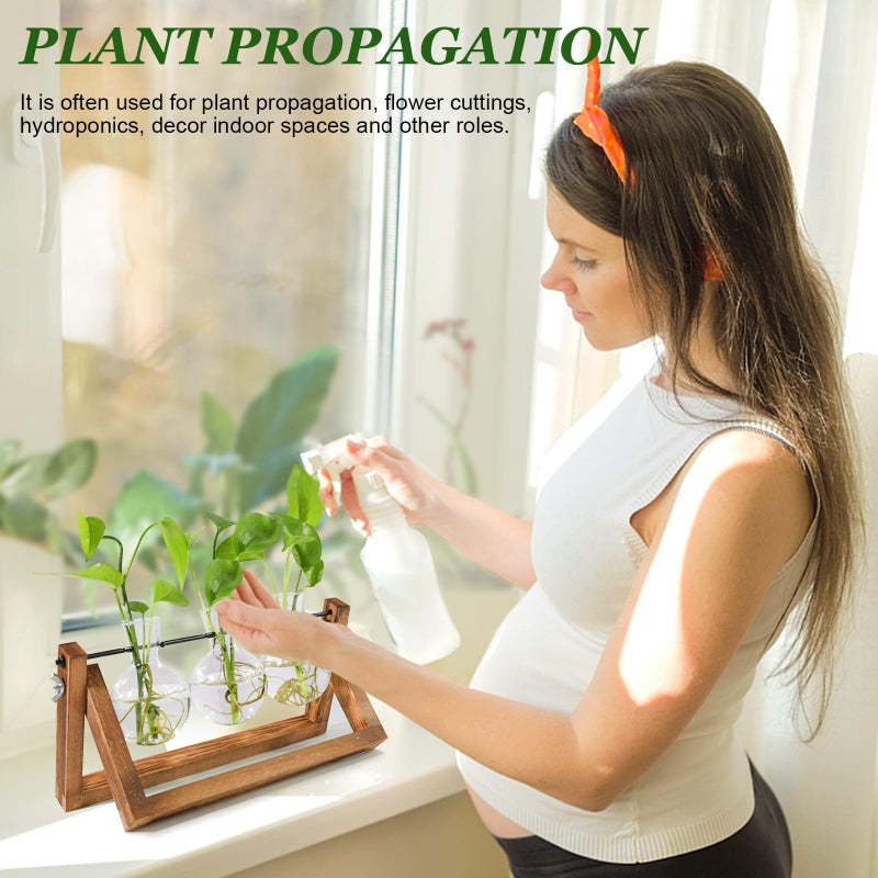 Renmxj Plant Propagation Stations with Wooden Stand & 3 Glass Bulb Vases - Plant Terrarium for Indoor Plants, Home Office Desk Decor, Gardening Gifts for Women Mom, Birthday Gifts for Plants Lovers - Image 4