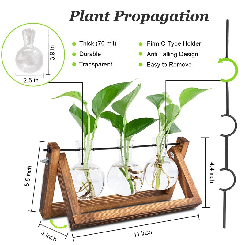 Renmxj Plant Propagation Stations with Wooden Stand & 3 Glass Bulb Vases - Plant Terrarium for Indoor Plants, Home Office Desk Decor, Gardening Gifts for Women Mom, Birthday Gifts for Plants Lovers - Image 2