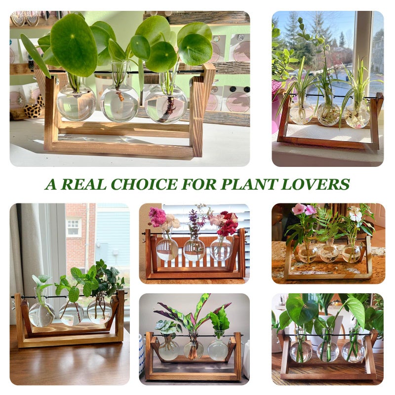 Renmxj Plant Propagation Stations with Wooden Stand & 3 Glass Bulb Vases - Plant Terrarium for Indoor Plants, Home Office Desk Decor, Gardening Gifts for Women Mom, Birthday Gifts for Plants Lovers - Image 5