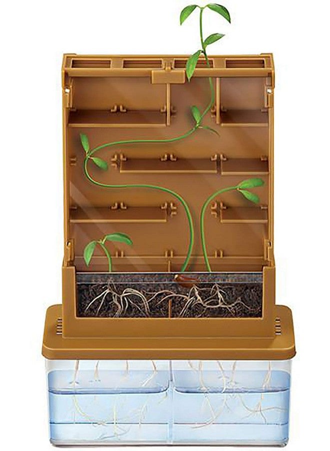 webby diy learning grow a plant kit for kids- Multi color - Image 1