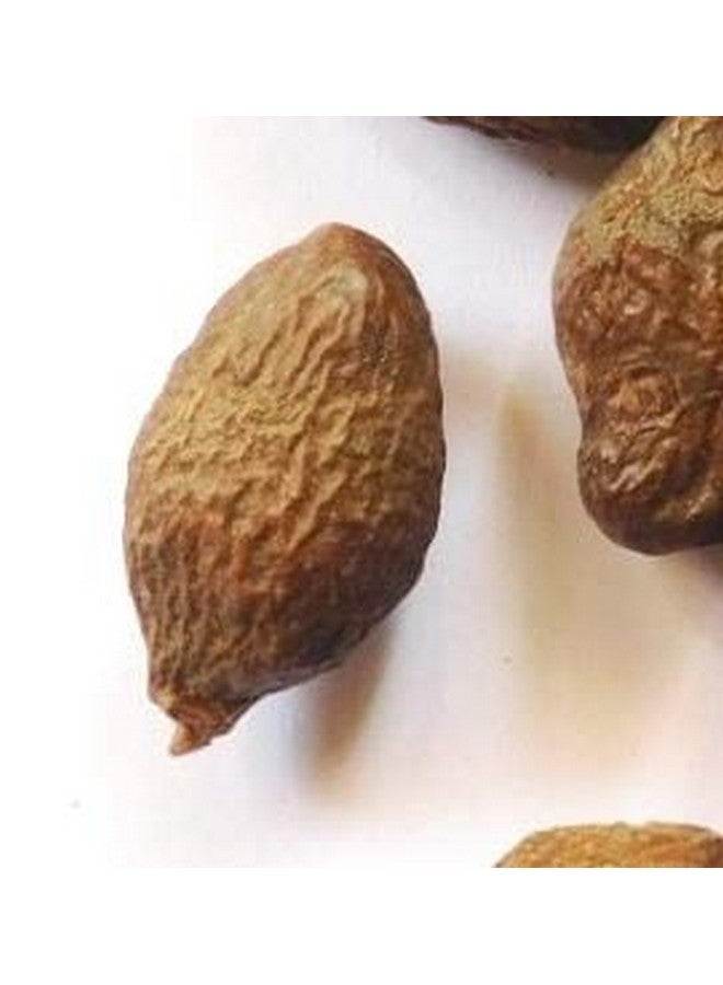 SWASTIK فاكهة مالفا نوت شينا صغيرة الحجم ستريكلية ليكنوفورا (100 جرام حجم صغير) - Image 4