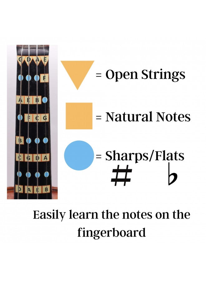 FFG NOTE THE DIFFERENCE Fantastic Finger Guide for Violins Kids/Adult Beginner | Stringed Musical Instruments | Fingerboard and Fretboard Stickers for Learning All Notes | Play or Fiddle, 4/4-Size  - Image 3