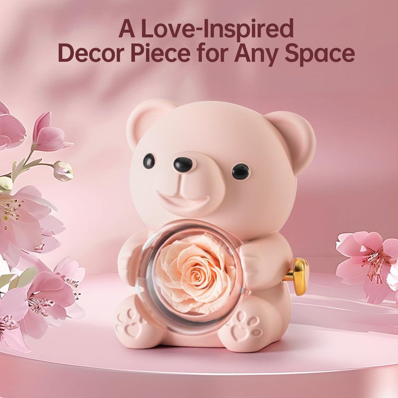 Anthonic Cute Teddy Bear with Preserved Rose - A Real Rose Flower in Bear with Elegant Gift Box - Romantic Gift for Her in Mother's Day, Weddings, Anniversaries, and Bridal Showers (Champagne) - Image 4