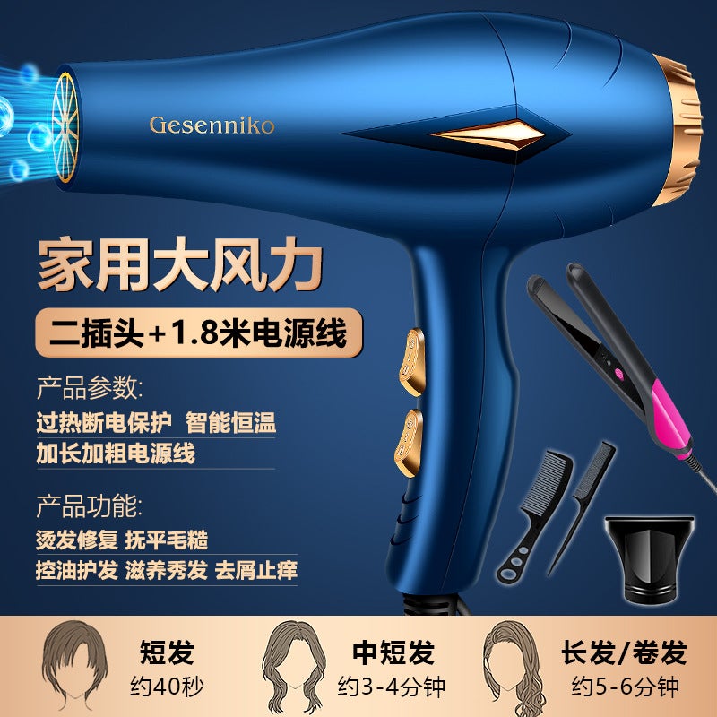 general New Barber Shop Constant Temperature Large Wind Hair Dryer Blue Light Quick Drying Hair Care High Power Household Hair Dryer Batch Generation HairNavy blue strong wind 1300W household free three plu