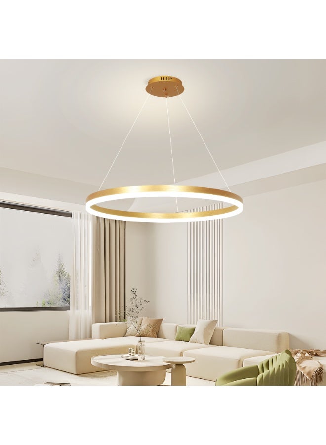 YATAI LIGHTING ثريا LED دائرية ذهبية حديثة 40 سم، ضوء سقف قابل للتعتيم 23 واط مع جهاز تحكم عن بعد، ارتفاع قابل للتعديل، إضاءة متغيرة الألوان 3000K–6000K لغرف الطعام والمعيشة - Image 5