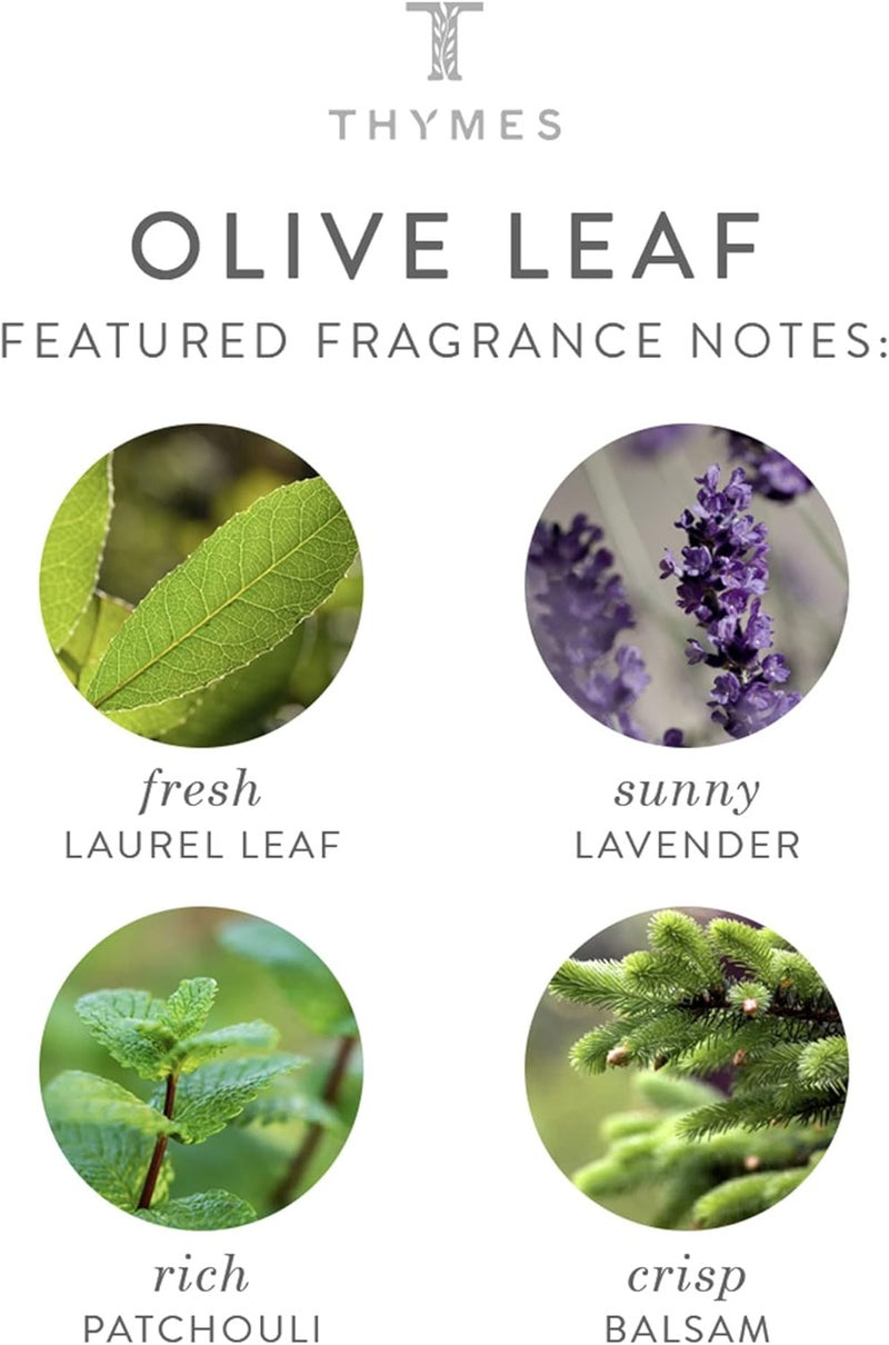 Thymes Olive Leaf Hand Lotion with Pump - Moisturizing Shea Butter, Vitamin E, and Olive Oil - 240ml - Image 4