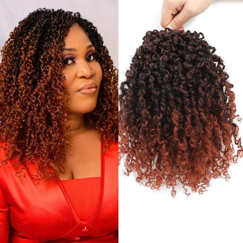 Datanala Yanky Twists Crochet Braiding Hair 10 Inch 9 Packs Crochet Hair with Curls Micro Spring Twists Pre-looped Curly Braids Extensions for Women (T350#, 10inch) - Image 1