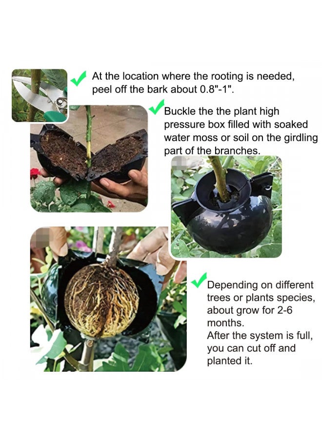 MIIIM 10 PCS Air Layering Propagation Kit with Zip Ties, Reusable Half Transparent Grafting Ball, Air Layering Pods Clear, Plant Rooting Grafting Box for Fast Propagation Plants (Medium) - Image 2