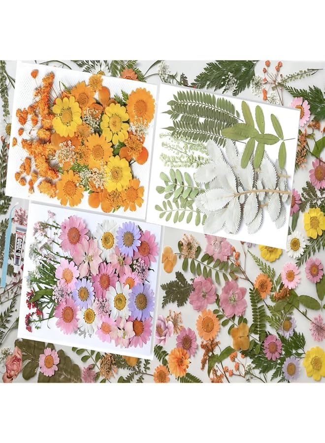 erorex 87Pcs Pressed Flowers For Nails Resin Mold Dried Flowers Real Leaves Natural With Tweezers And Glue For Diy Wedding Candle Make Up Invitations Lolita Garden - Image 1