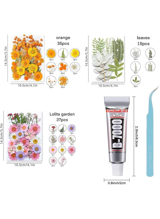 erorex 87Pcs Pressed Flowers For Nails Resin Mold Dried Flowers Real Leaves Natural With Tweezers And Glue For Diy Wedding Candle Make Up Invitations Lolita Garden - Image 2