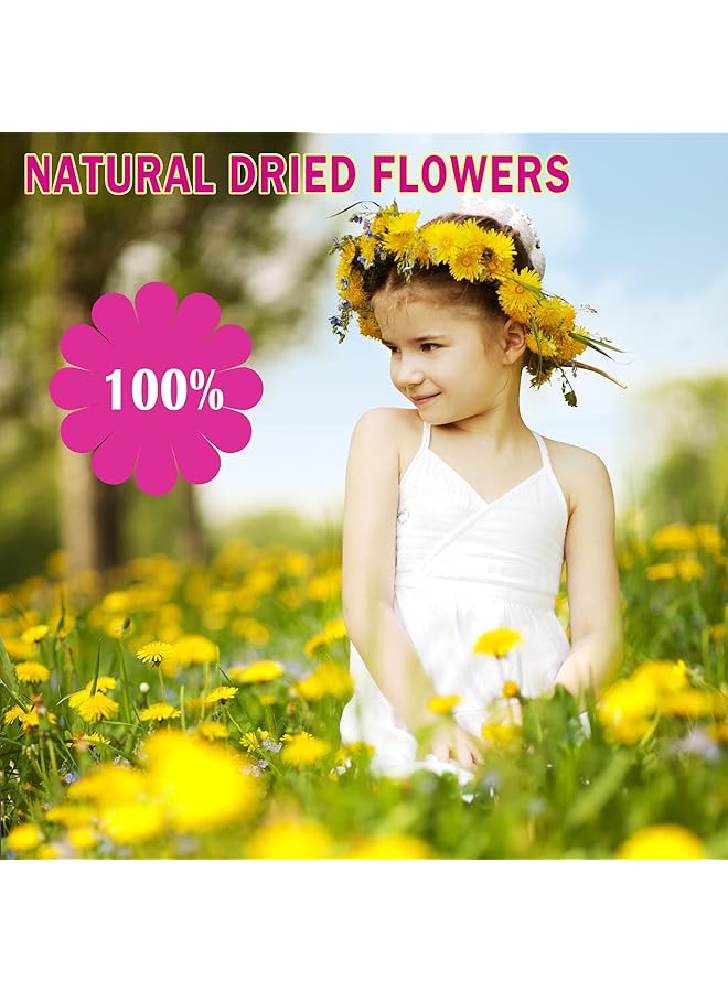 erorex 87Pcs Pressed Flowers For Nails Resin Mold Dried Flowers Real Leaves Natural With Tweezers And Glue For Diy Wedding Candle Make Up Invitations Lolita Garden - Image 4