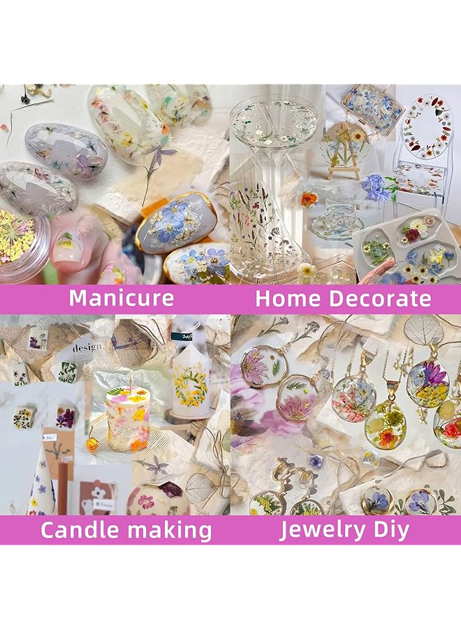 erorex 87Pcs Pressed Flowers For Nails Resin Mold Dried Flowers Real Leaves Natural With Tweezers And Glue For Diy Wedding Candle Make Up Invitations Lolita Garden - Image 5