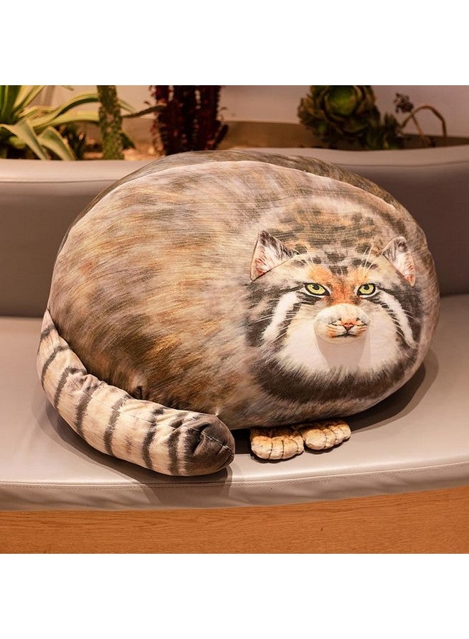 XIAOHONG Chubby Steppe Cat Pillow,18'' Pallas Cat Plush Pillow, Cute Steppe Cat Stuffed Animals Soft Plushies, Kitten Plush Throw Pillow Doll Big Plush Toys Gift for Girls Boys Girlfriend - Image 2