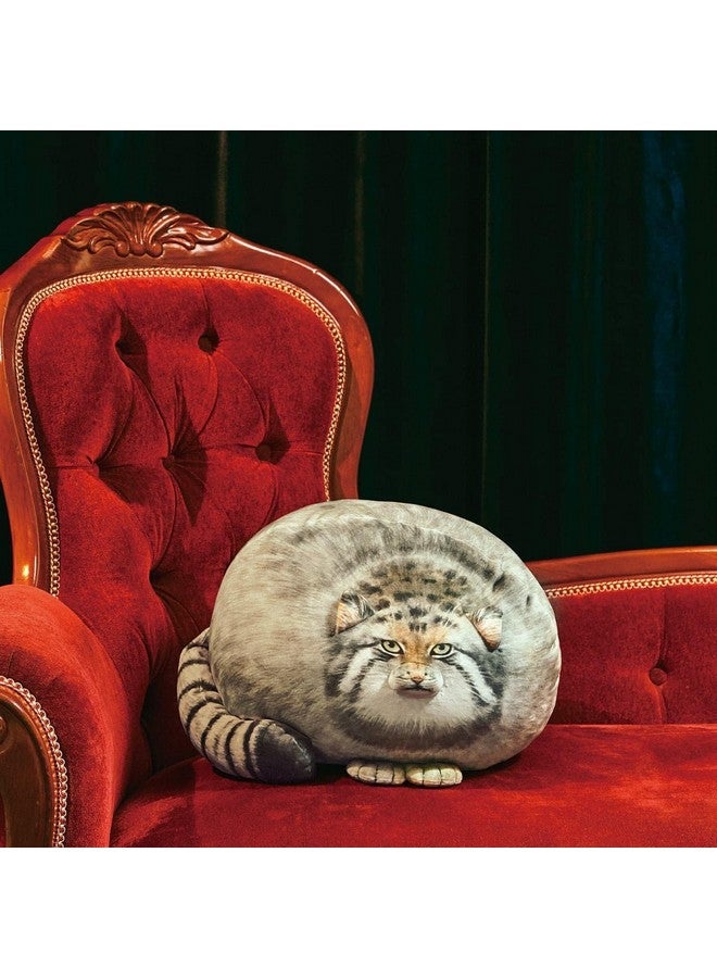 XIAOHONG Chubby Steppe Cat Pillow,18'' Pallas Cat Plush Pillow, Cute Steppe Cat Stuffed Animals Soft Plushies, Kitten Plush Throw Pillow Doll Big Plush Toys Gift for Girls Boys Girlfriend - Image 5