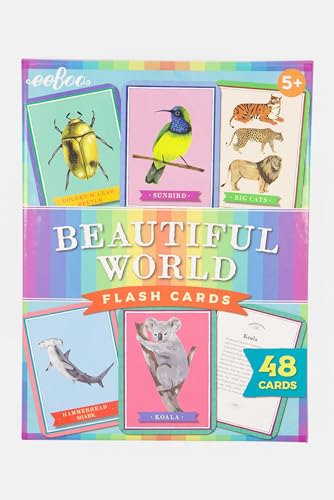 eeBoo Beautiful World Educational Flashcards 48 Cards Showcasing Various Animals Learn About Mammals Insects Birds Reptiles Perfect for Ages 5 and up - Image 1
