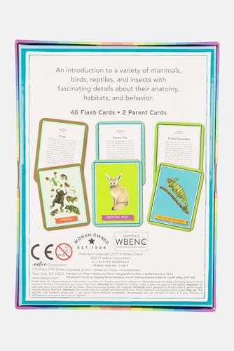 eeBoo Beautiful World Educational Flashcards 48 Cards Showcasing Various Animals Learn About Mammals Insects Birds Reptiles Perfect for Ages 5 and up - Image 5