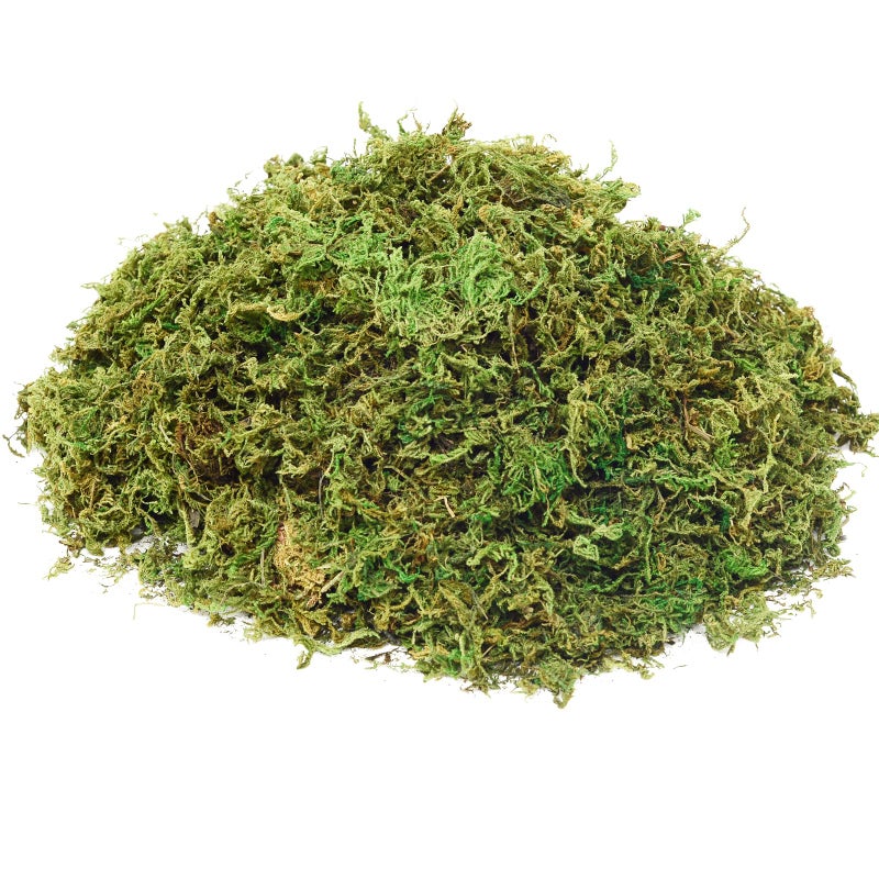 Fake Moss Artificial Moss for Potted Plants Greenery Moss4OZ Home Decor Fairy Garden Crafts Wedding Decoration Fresh Green
