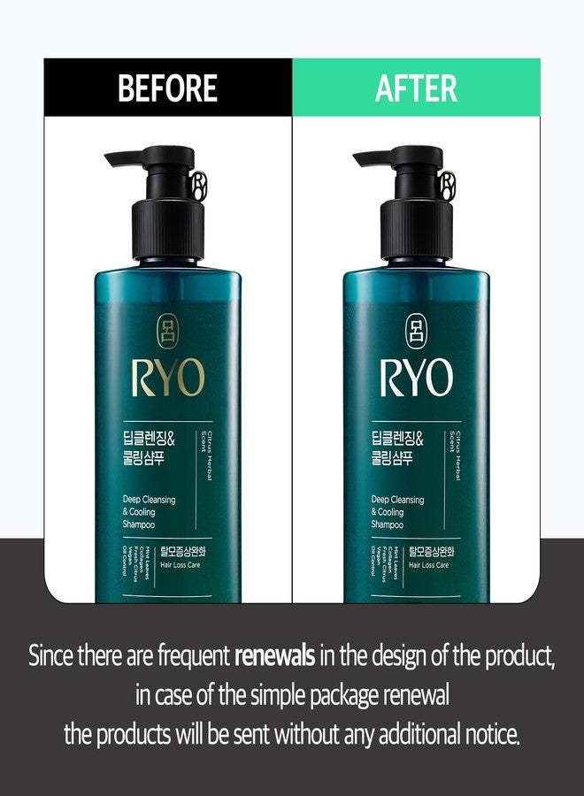 RYO Deep Cleansing Shampoo with Korean Ginseng & Caffeine - Cooling and Refreshing for Oily Scalp, Hair Loss Care, Anti-Dandruff, Sebum Control, 16 Fl Oz. - Image 2