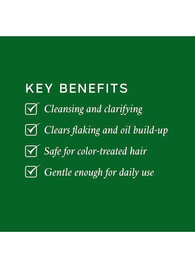 Philip Kingsley - Flaky Scalp Shampoo For Flaky Dry Oily Scalps Cleansing Scalp Care Hair Products Soothing Soothes And Calms 8.45 Oz. - Image 1