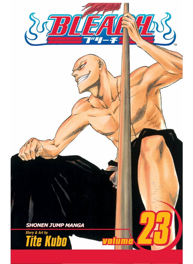 Bleach 23