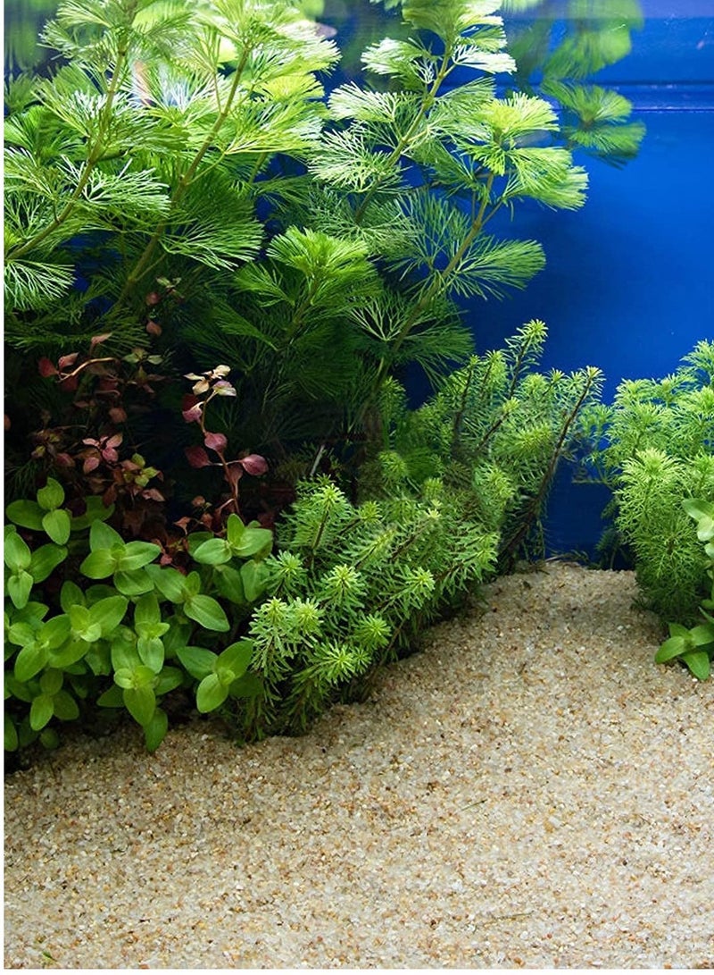 vsell24 0.05 mm Multiuse Super Naturals Golden Sand Aquarium Substrate For Fish Tank  - Image 3