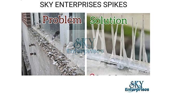 SKY ENTERPRISES Store مسامير سكاي إنتربرايس للتحكم في الطيور والحمام، مسامير الطيور، مسامير التحكم في الحمام، طارد الطيور، حلول لمشكلة الحمام (عبوة 10 قطع) - Image 3