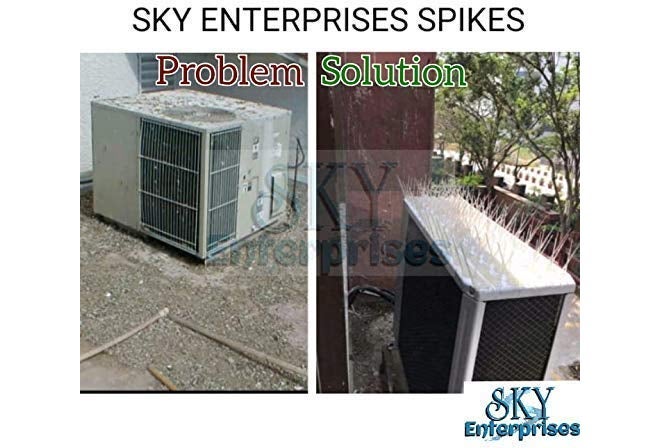 SKY ENTERPRISES Store مسامير سكاي إنتربرايس للتحكم في الطيور والحمام، مسامير الطيور، مسامير التحكم في الحمام، طارد الطيور، حلول لمشكلة الحمام (عبوة 10 قطع) - Image 4