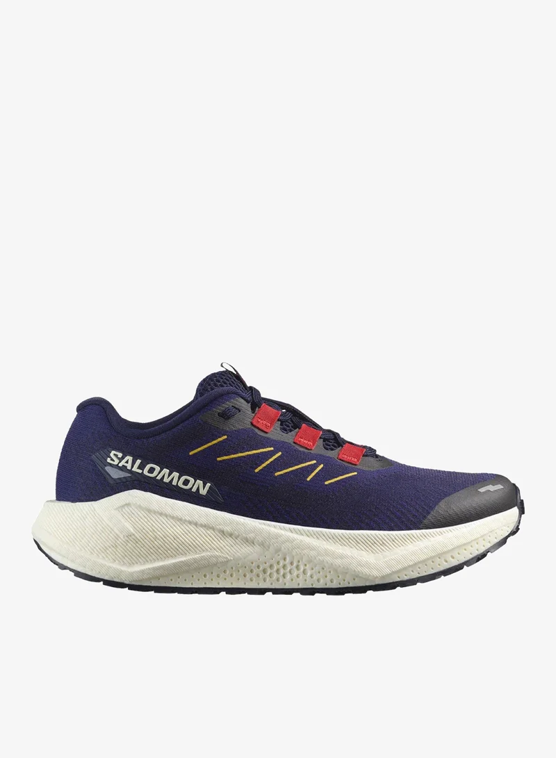 Salomon AERO BLAZE 3 GRVL Low Top Sneaker