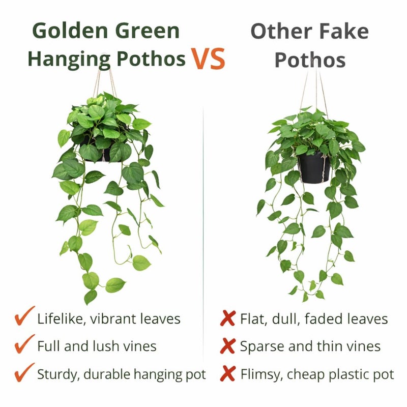 alyptus Fake Pothos Hanging Plants - Artificial Hanging Plant with Pot Realistic Faux Pothos Vines for Indoor DÃ©cor, Lush Greenery for Balcony Patio Office, Bathroom - Golden Green - Image 5