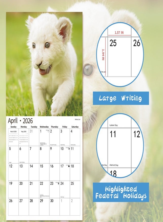 windrio 2026 Wall Calendar,Calendar 2026, November 2025 - December 2026, Wall Calendar Baby Animals, 12" x 24" Opened,Full Page Months Thick & Sturdy Paper for Calendar Organizing & Planning - Image 3