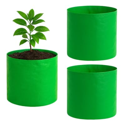 GroWonder Plant Grow Bags 9x9 inches, Terrace Gardening Vegetable Planting Pots, Woven Fabric Leafy Fruits Green Growing Containers-Pack of 3 - Image 1