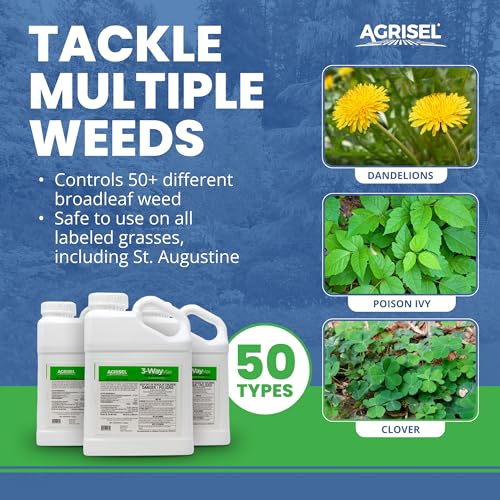 Agrisel 3 Way Max Weed Killer, Eliminate 50+ Weeds, Safe on Grass, Weed Spray, Pet Safe, Low Odor, Easy Mixing, Includes 3-Pack of Agrisel Protective Gloves, 128 Ounces - Image 2