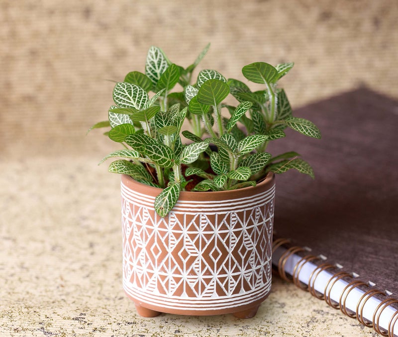 D'vine Dev Set of 2 Terracotta Planter Pots, 4 Inch & 6 Inch, Design Plants Pot with Drainage Hole, Savanna Weave, Terracotta/White, 31-953-G-1 - Image 4