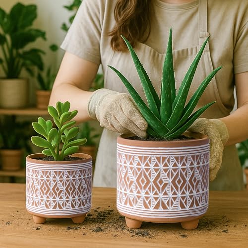 D'vine Dev Set of 2 Terracotta Planter Pots, 4 Inch & 6 Inch, Design Plants Pot with Drainage Hole, Savanna Weave, Terracotta/White, 31-953-G-1 - Image 2
