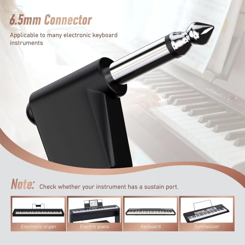 Flanger Sustain Pedal Universal Foot Damper for Digital Electronic Piano Keyboard, Flanger(Carbon Black, FTB-004) - Image 3