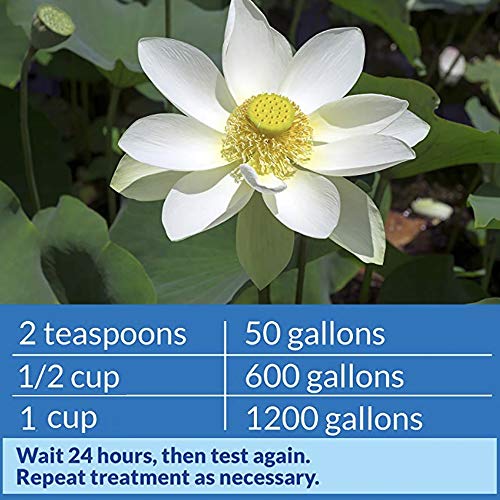 API POND pH UP Pond Water pH Raising Solution 16-Ounce Bottle - Image 5