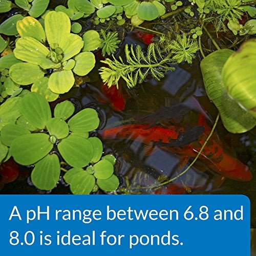 API POND pH UP Pond Water pH Raising Solution 16-Ounce Bottle - Image 4