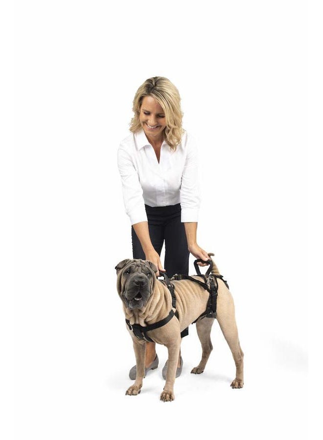 PetSafe CareLift Support Harness - Full Body Lifting Aid with Handle - Great for Pet Mobility and Older Dogs - Comfortable, Breathable Material - Easy to Adjust, Medium - Image 2