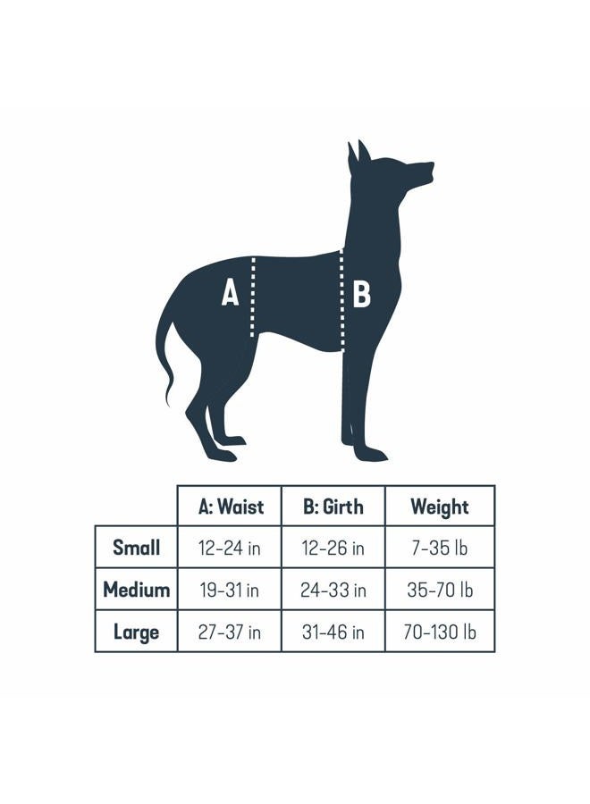 PetSafe CareLift Support Harness - Full Body Lifting Aid with Handle - Great for Pet Mobility and Older Dogs - Comfortable, Breathable Material - Easy to Adjust, Medium - Image 5