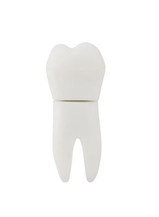 Cute Tooth Shape Flash Drives Storage USB 2.0 Interface U Disk Memory Stick 16G - pzsku/Z2CFF10F15F9B34A45FB9Z/45/_/1726482466/8f9f0c17-7e0a-4a8b-88f7-765f0b1f7aca