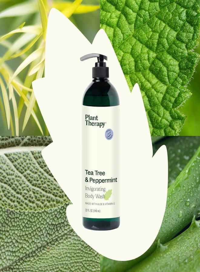 Plant Therapy Tea Tree and Peppermint Essential Oil Natural Body Wash with Pump 32 oz For all Skin Types, Sulfate Free Body Wash, For Men or Women - Image 3