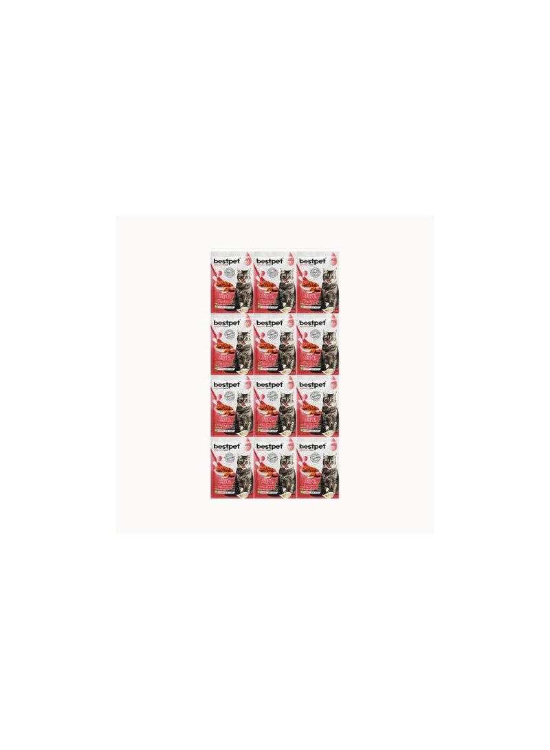 بيست بت بست بت طعام رطب للقطط بنكهة السلمون عرض 12× 85 جم