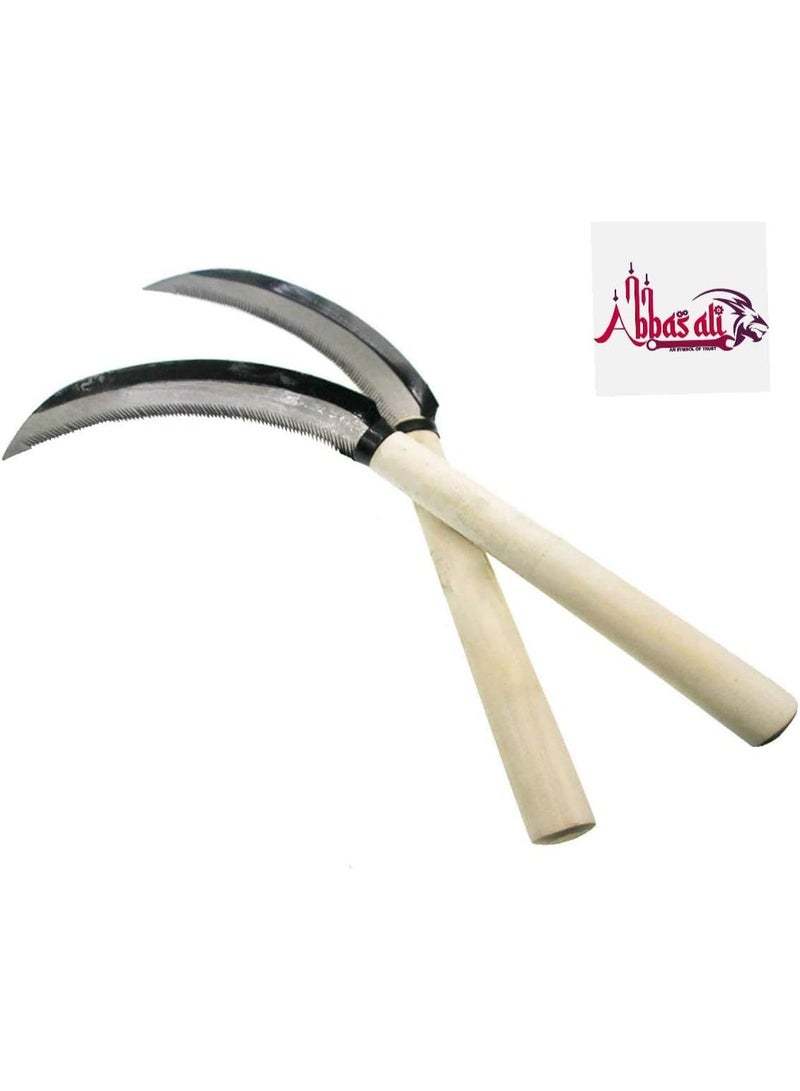 عباسلي أداة إزالة الأعشاب الضارة من عباسالي، خفيفة الوزن، بمقبض خشبي حاد من الفولاذ، مناسبة للحدائق - Image 2