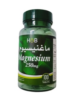 H&B Holland And Barrett Magnesium 250mg 100 Tablets 