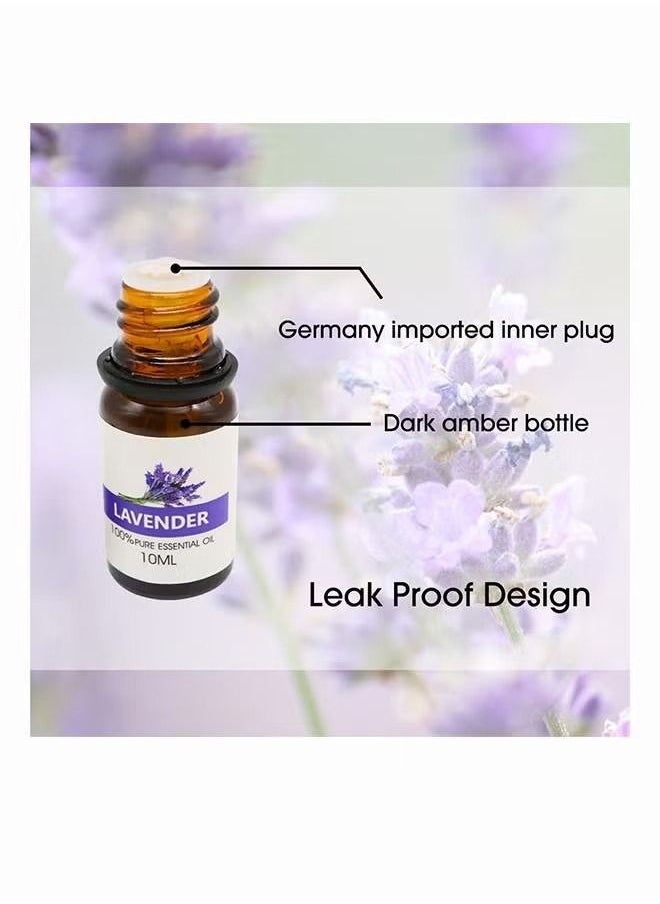 Generic - 8-Piece Essential Oil Set Clear 10ml - Image 1