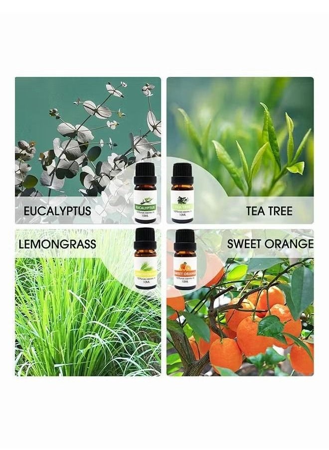 Generic - 8-Piece Essential Oil Set Clear 10ml - Image 1