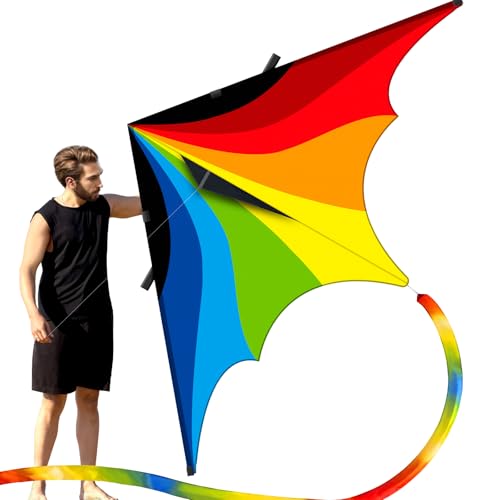 Doinfly TriangularShaped Kite Easy to Control with an Eyecatching Design it is Perfect for Outdoor Entertainment and Suitable for Beginners to use Large Rainbow Delta Kite28m 28m - Image 1